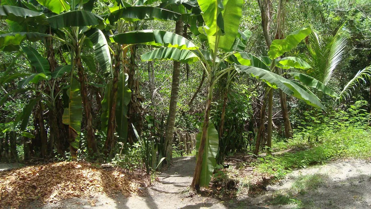 Hytte Villa Madalena Chale Brisa Do Mangue Porto Seguro
